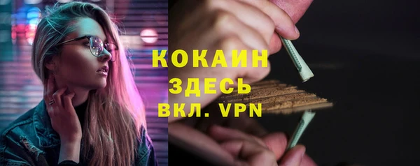 гидра Мегион