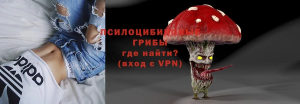 твердый Абаза