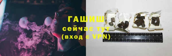 индика Медвежьегорск