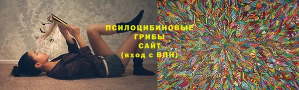 бошки Алзамай