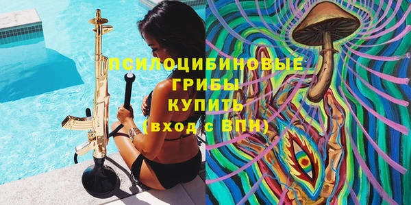 кокс Алексин