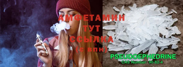 твердый Абаза