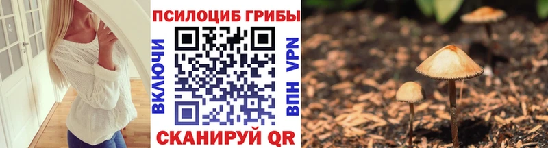 Псилоцибиновые грибы Magic Shrooms  Орск 
